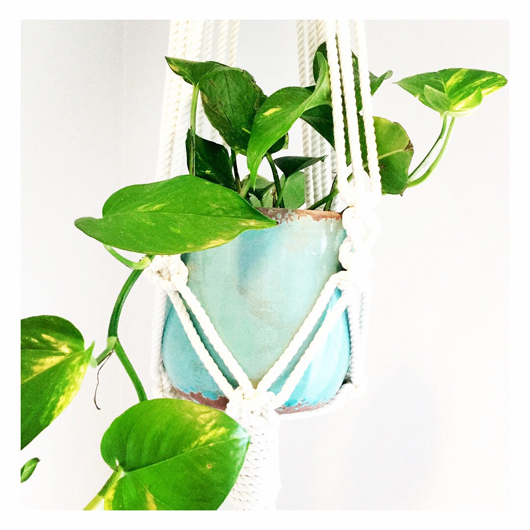 Plant Hangers