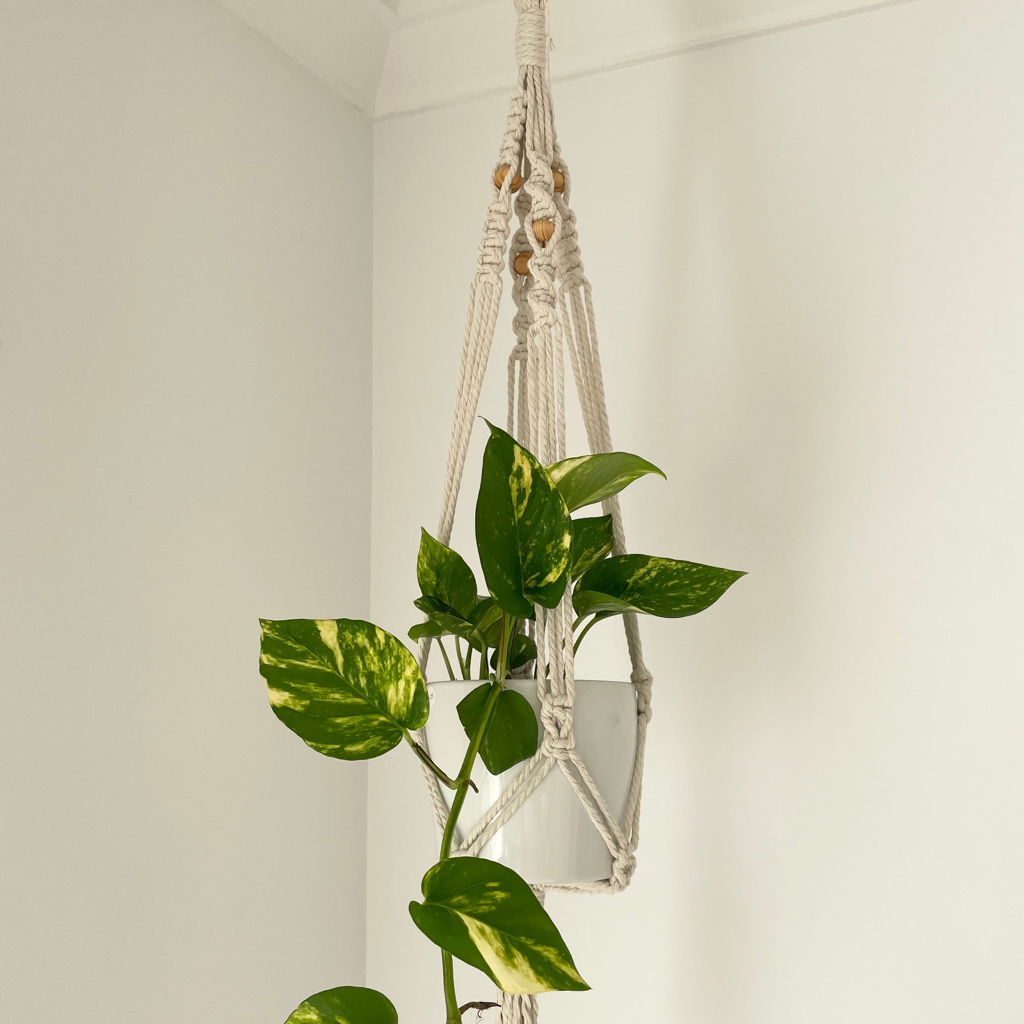 Boho Plant hanger