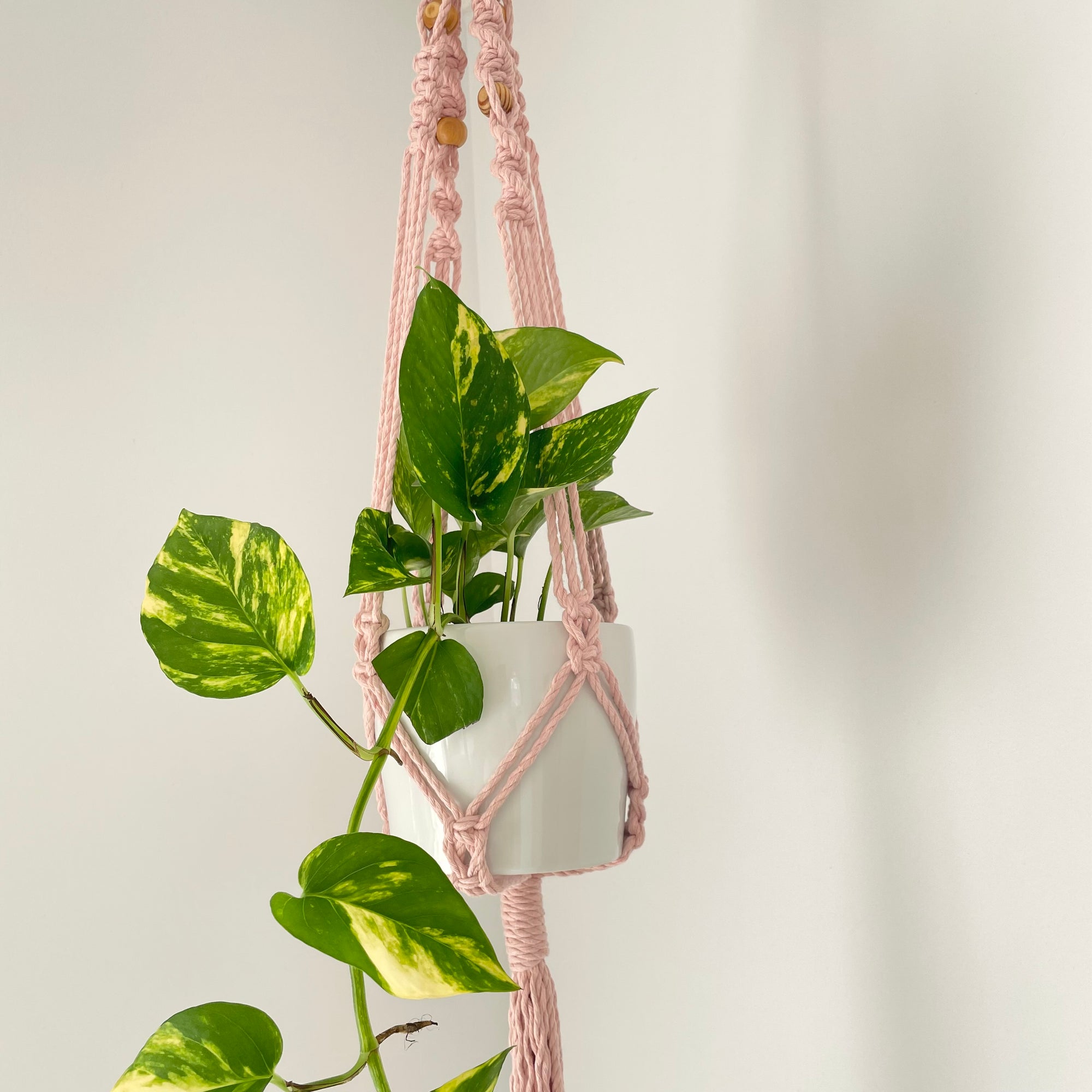 Boho Plant hanger