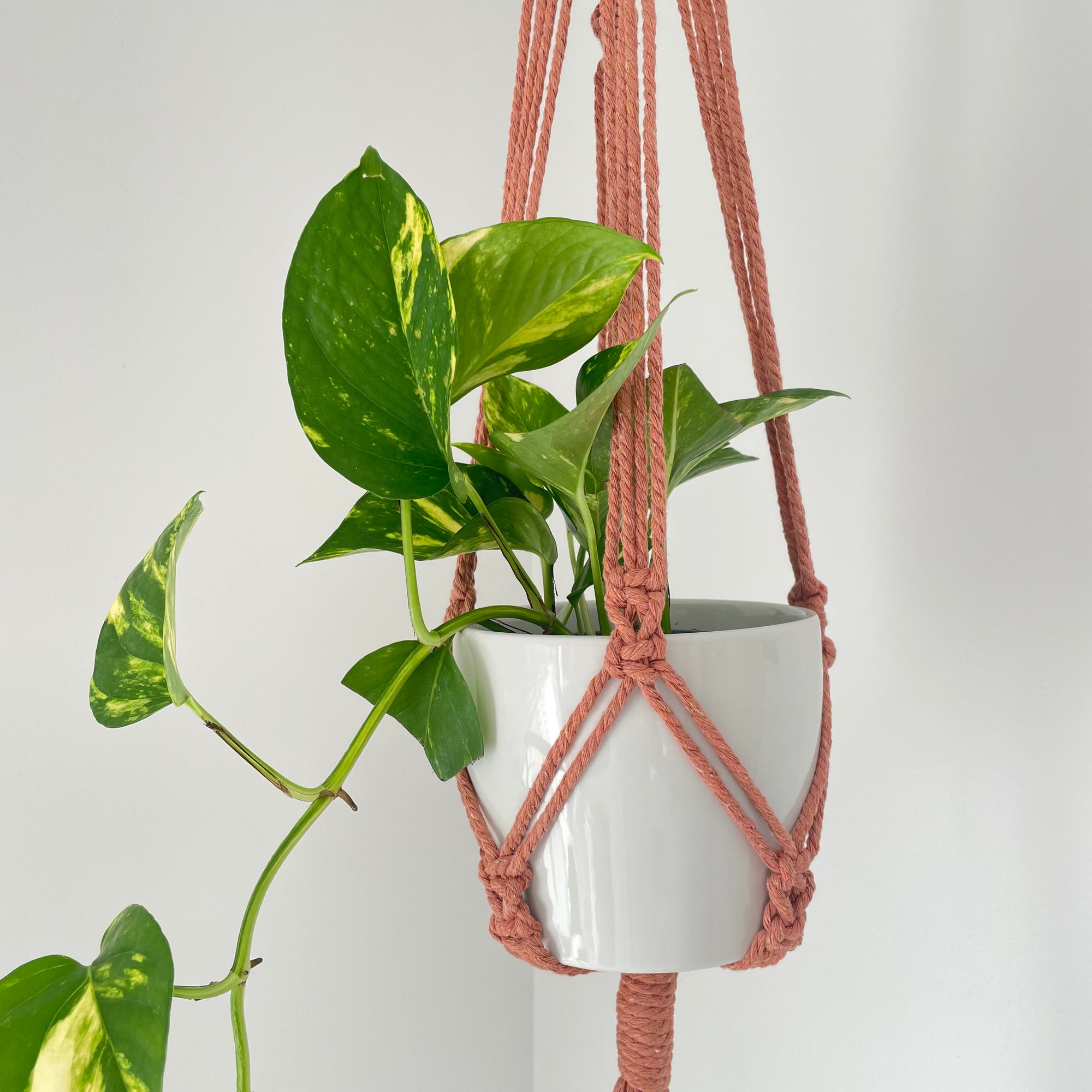 Boho Plant hanger