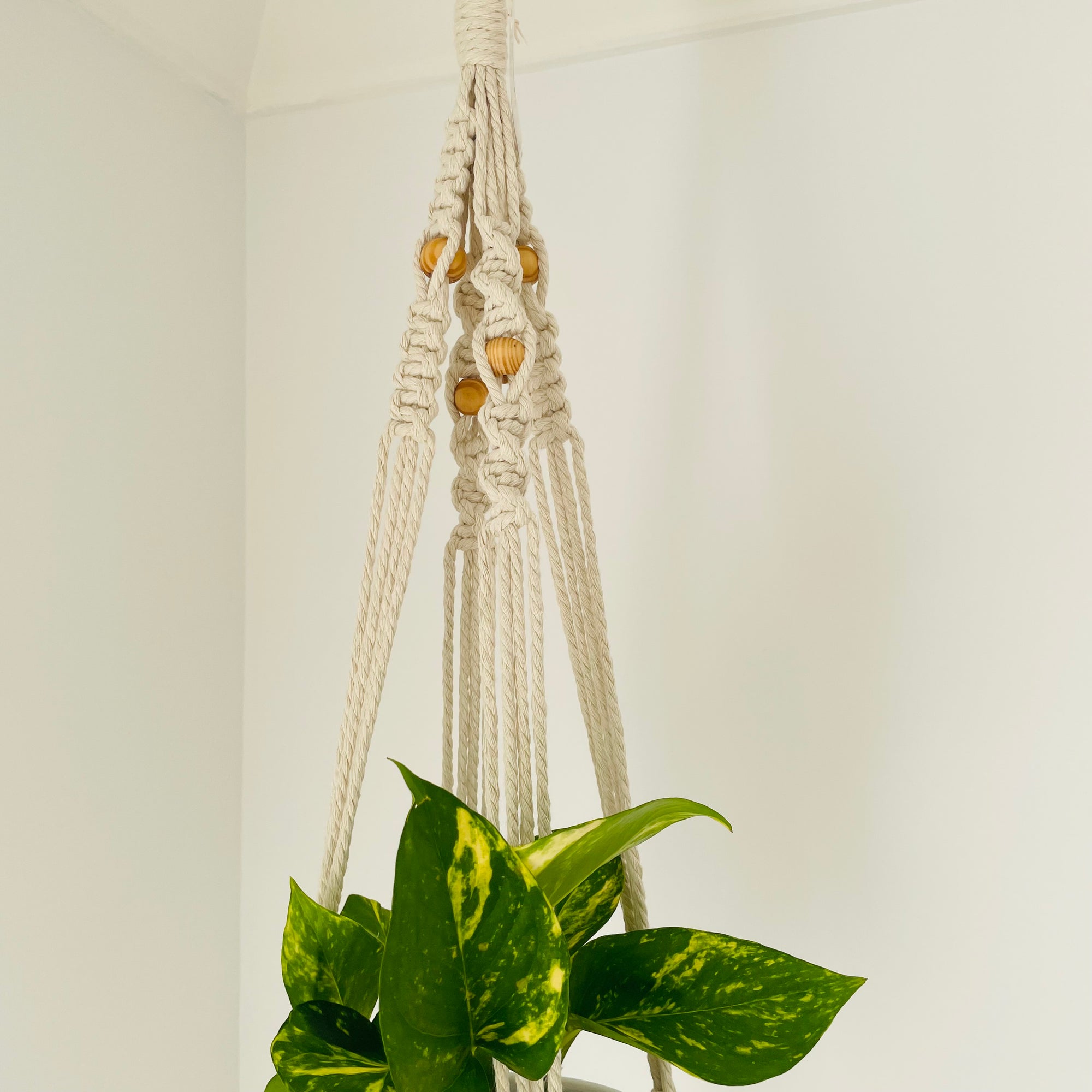 Boho Plant hanger