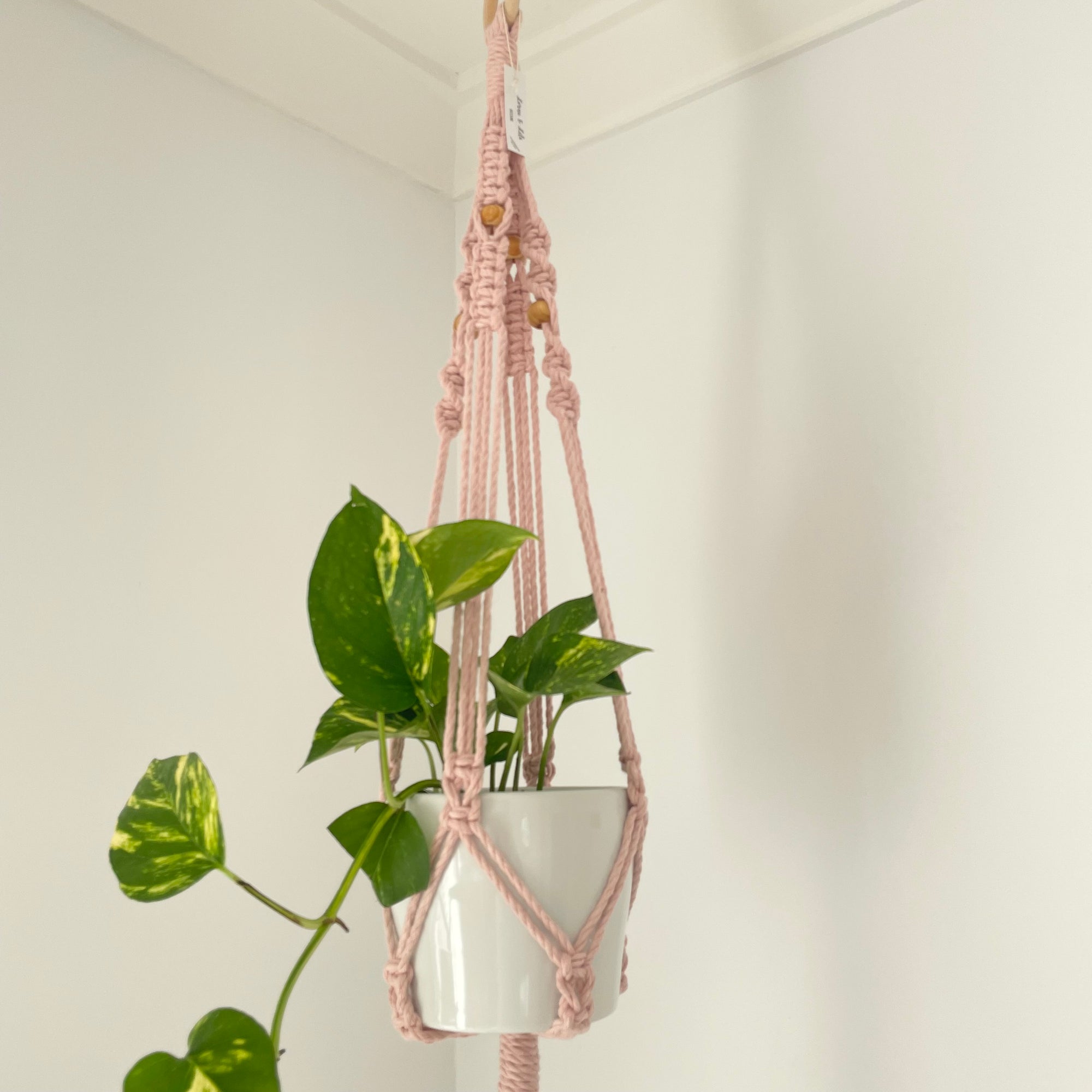 Boho Plant hanger