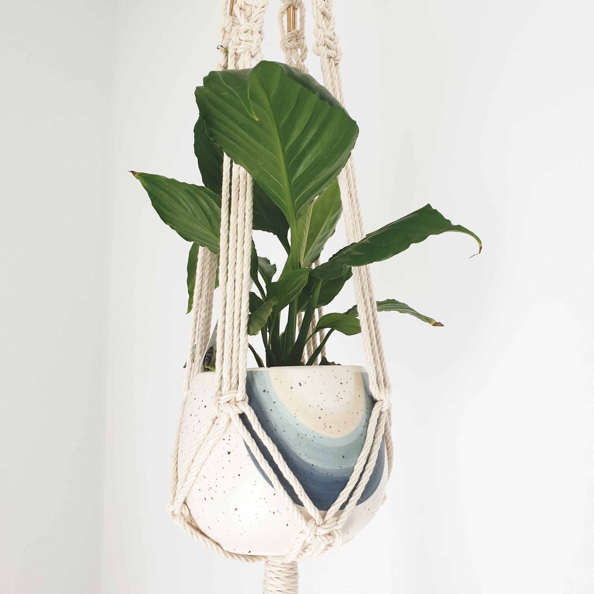 Natural Plant hanger