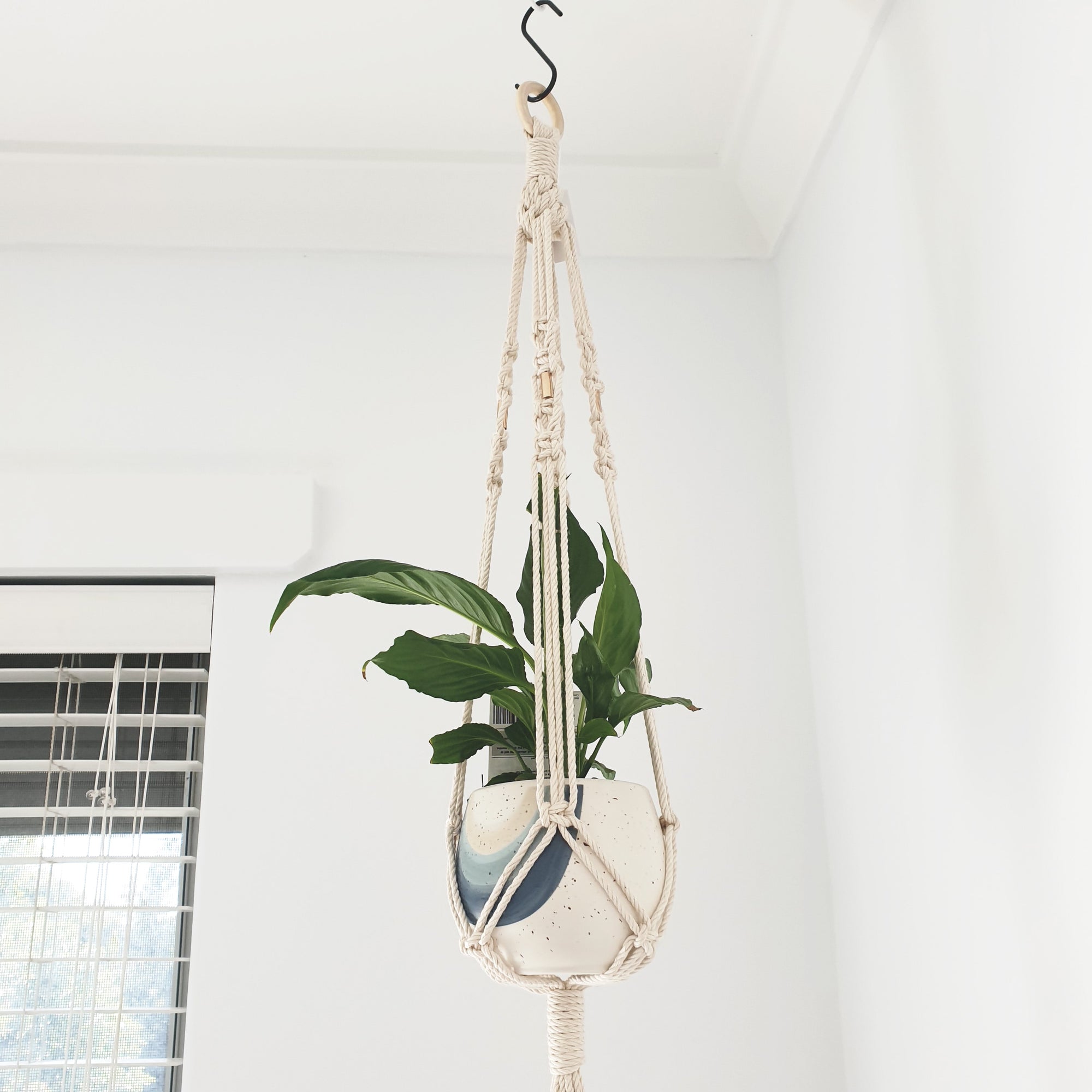 Natural Plant hanger