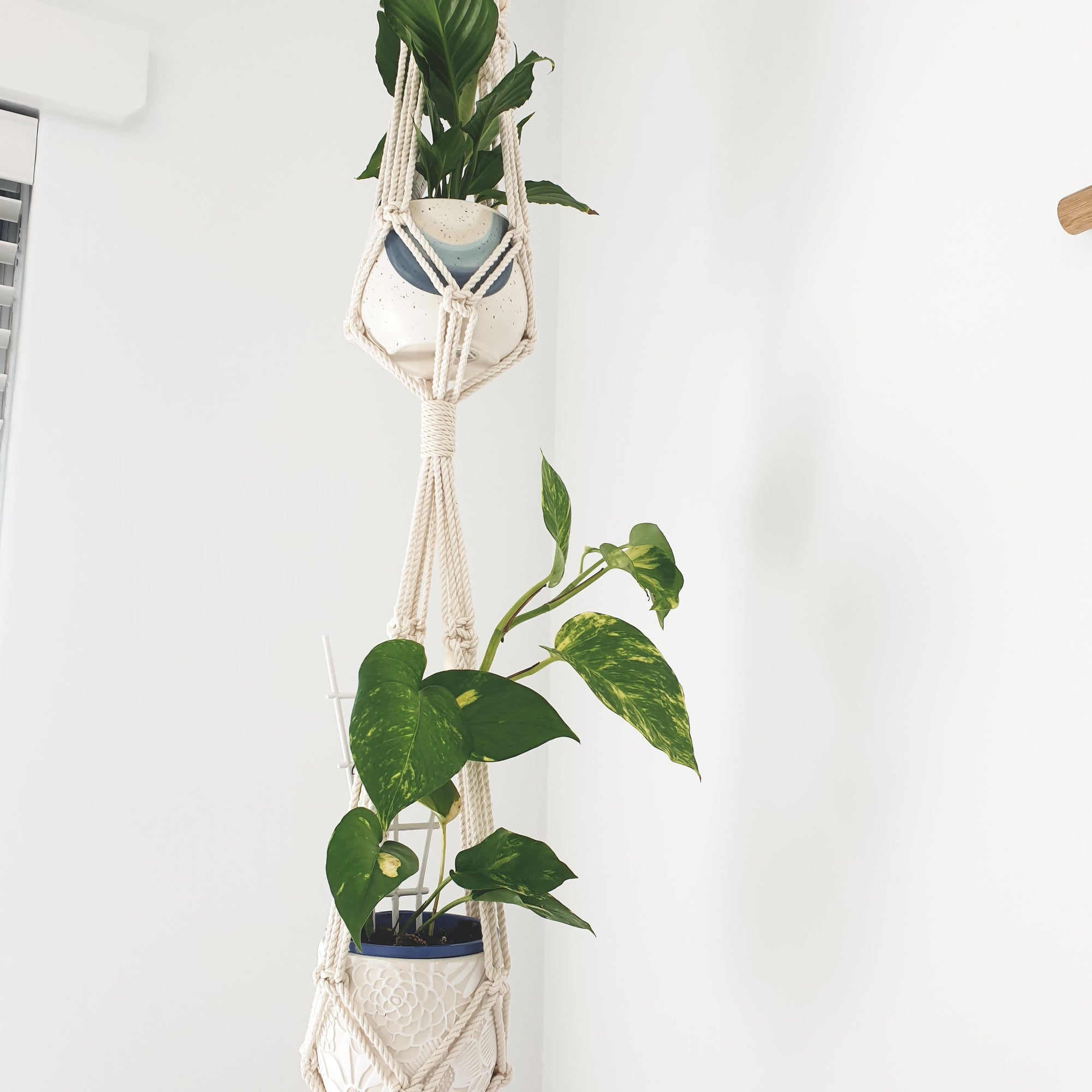 Double Plant Hanger