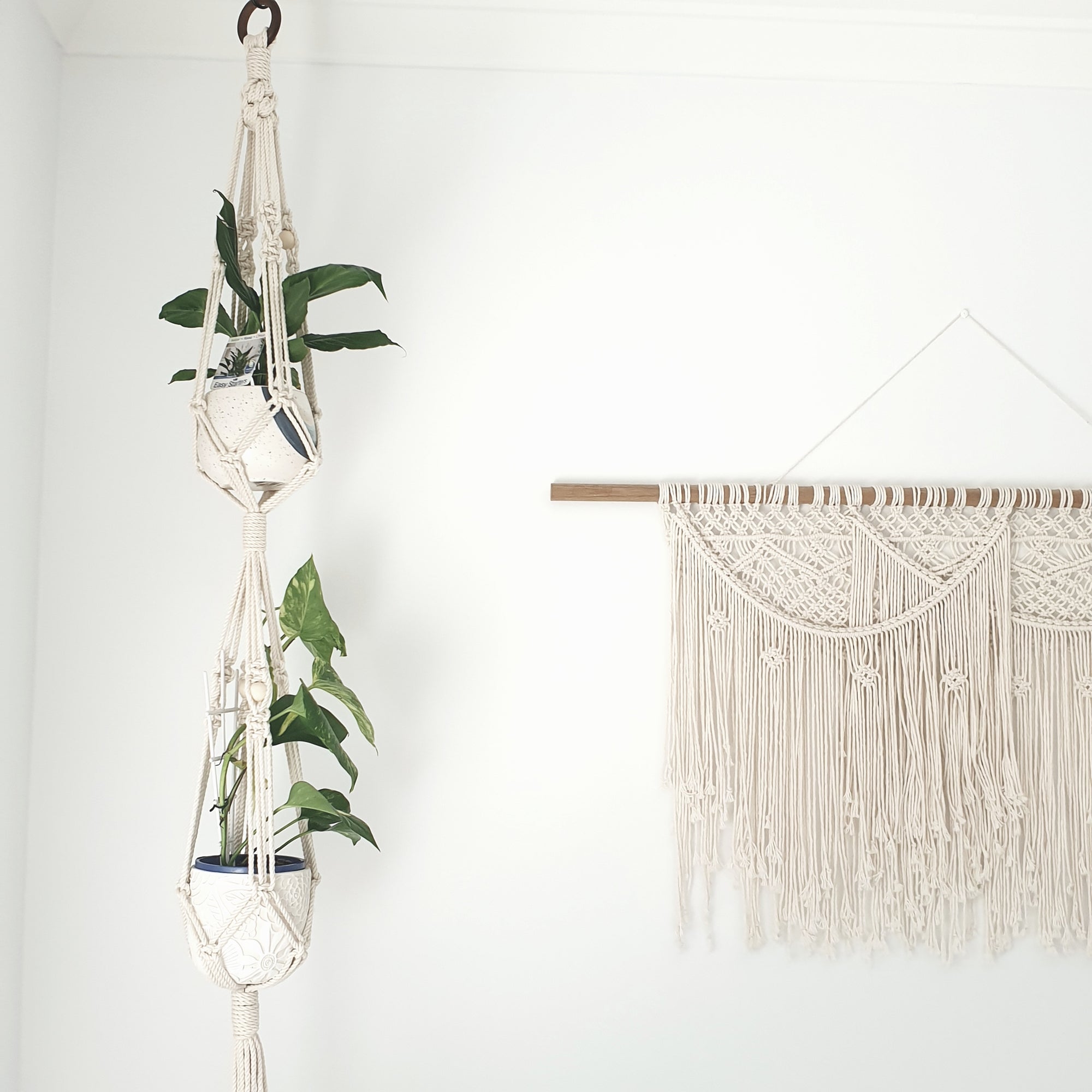 Double Plant Hanger