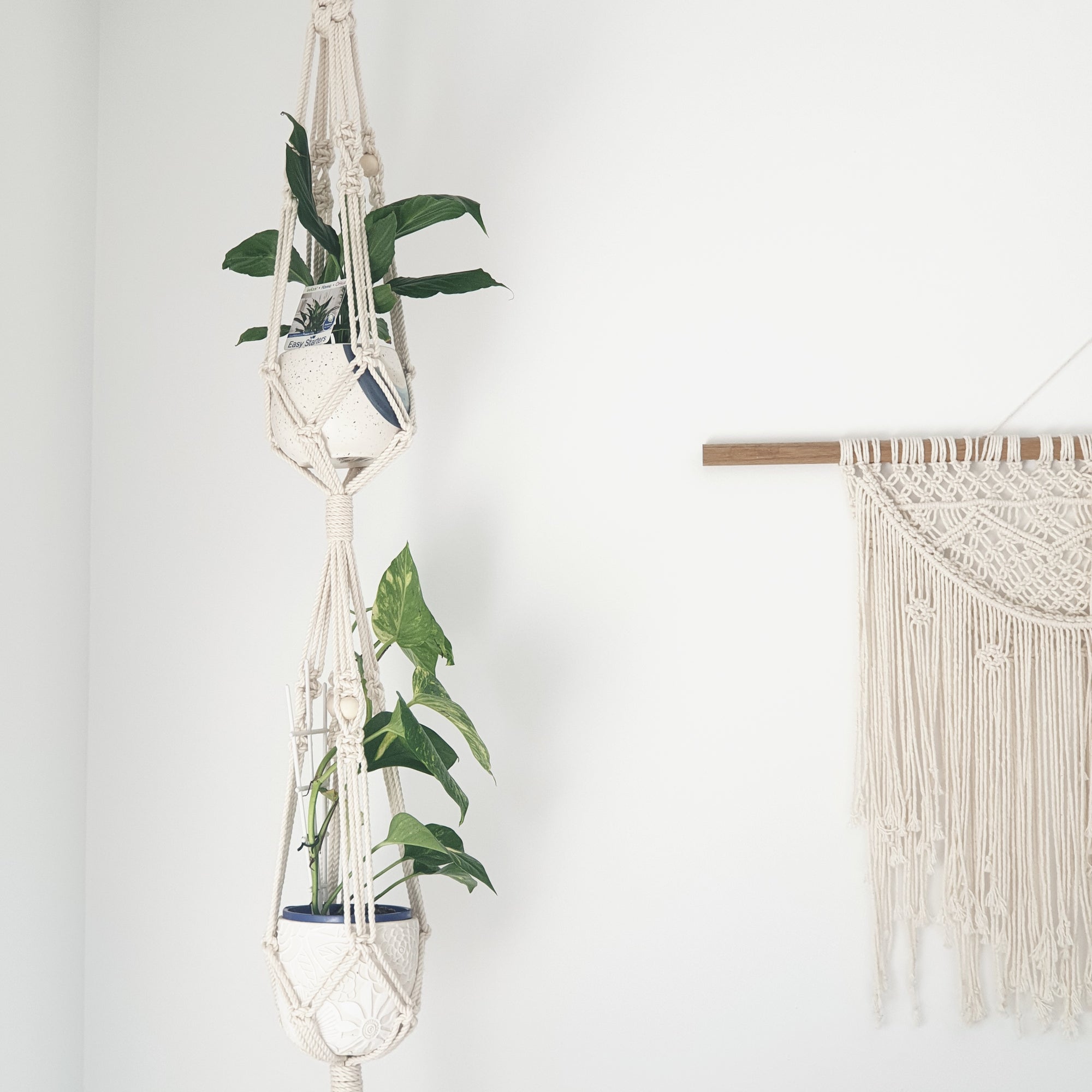Double Plant Hanger