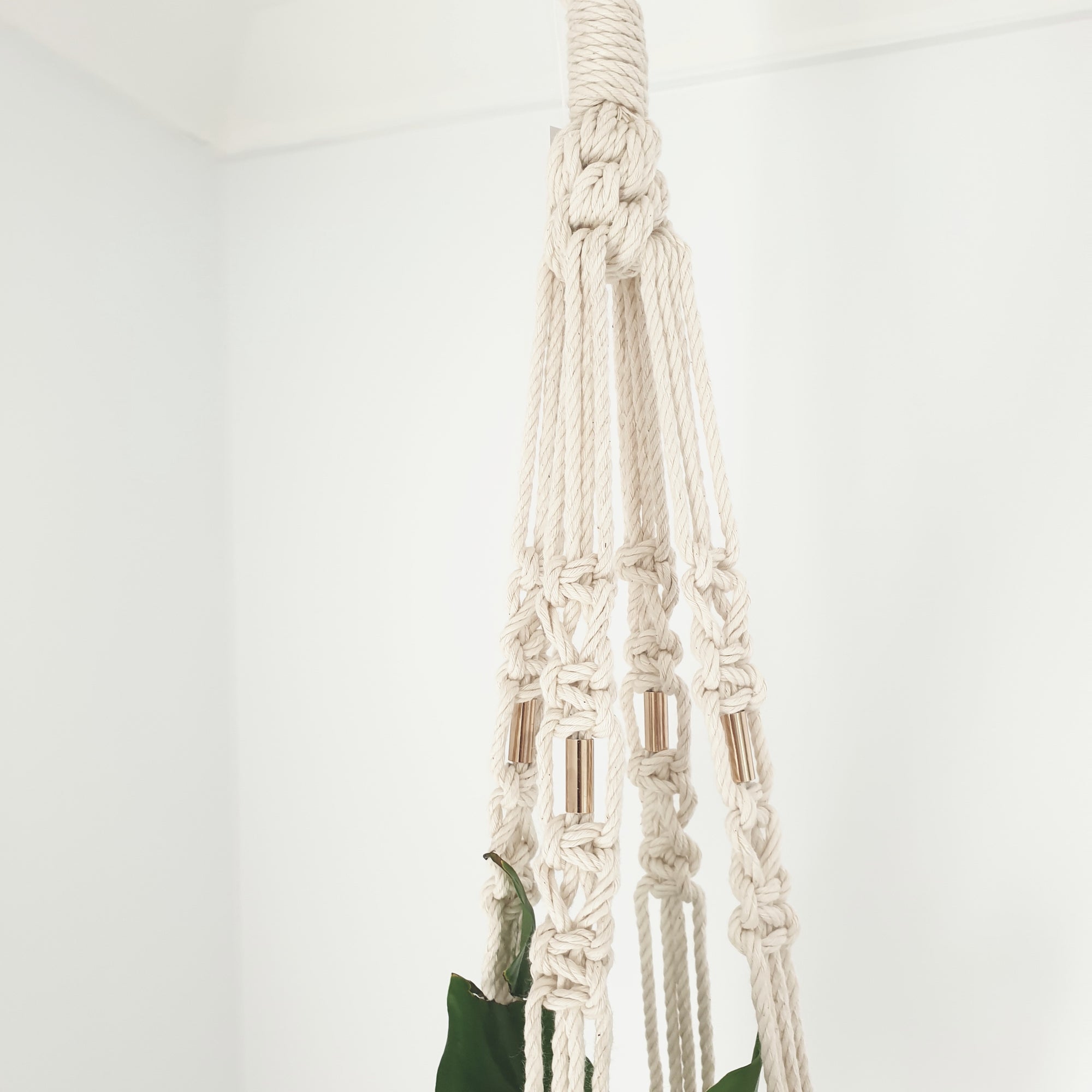 Natural Plant hanger