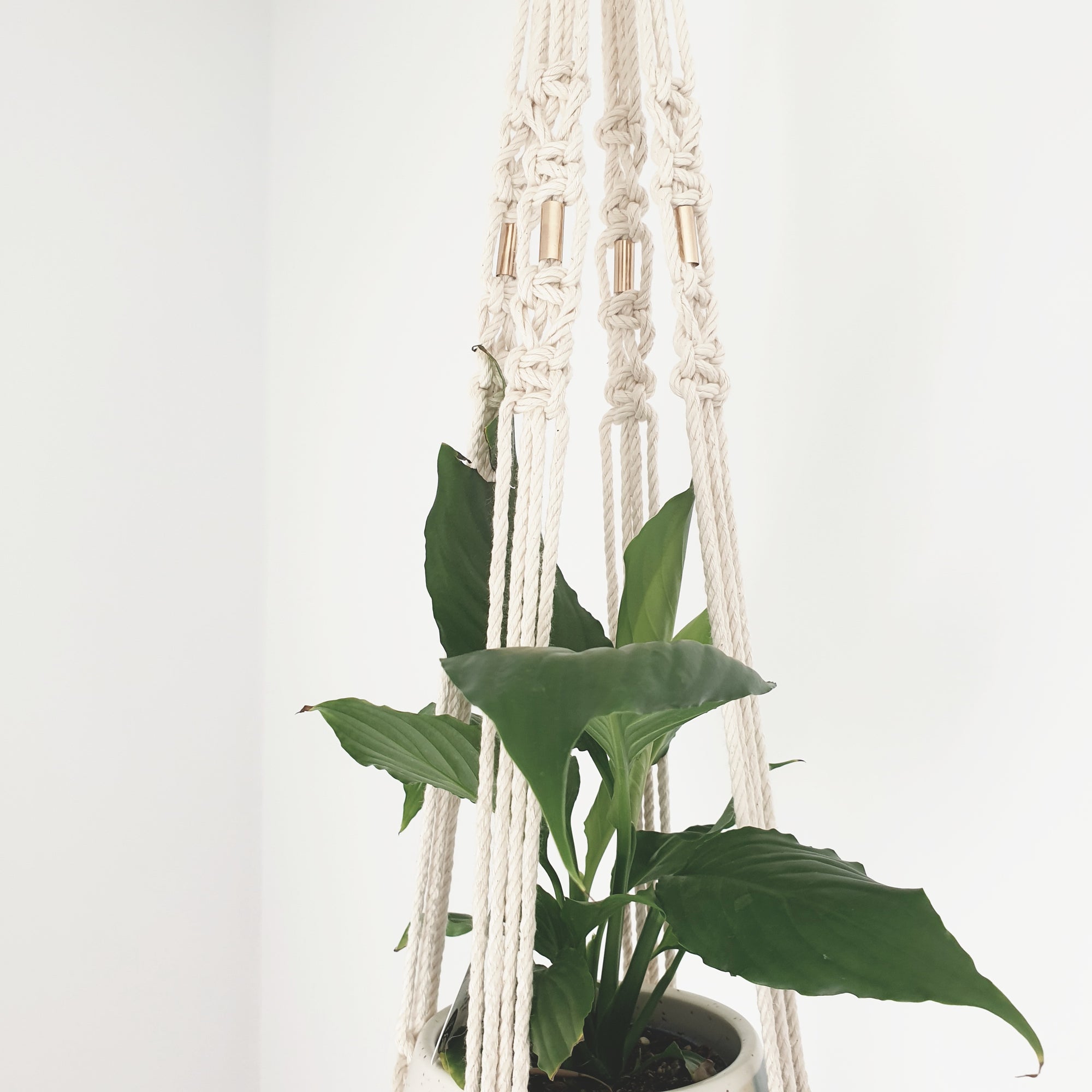 Natural Plant hanger