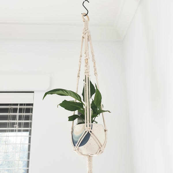 Plant hanger - small